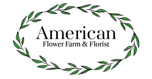 American Flower Farm & Florist